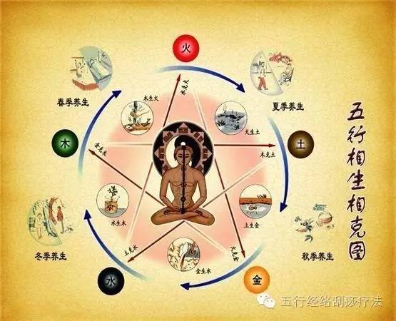 每天学一点中医之五行学说