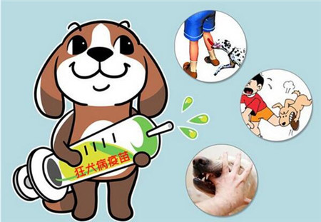 狂犬病疫苗可以用医保吗