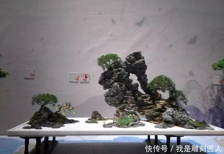 2018首届江苏精品盆景展