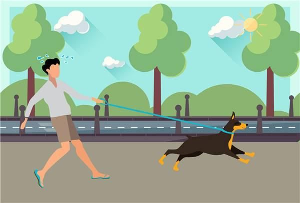 狗狗出门爱乱跑?训犬师告诉你如何训练狗狗户