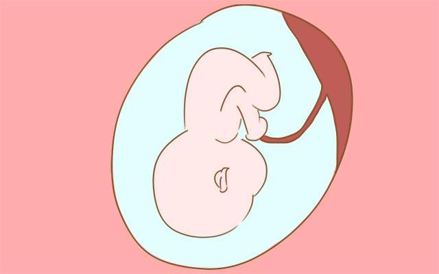 胎儿的大小跟孕妈妈的这8个身体因素有关,宝妈们你知道吗