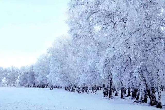 正气不在,风寒自来!为啥感冒发烧的总是你?答