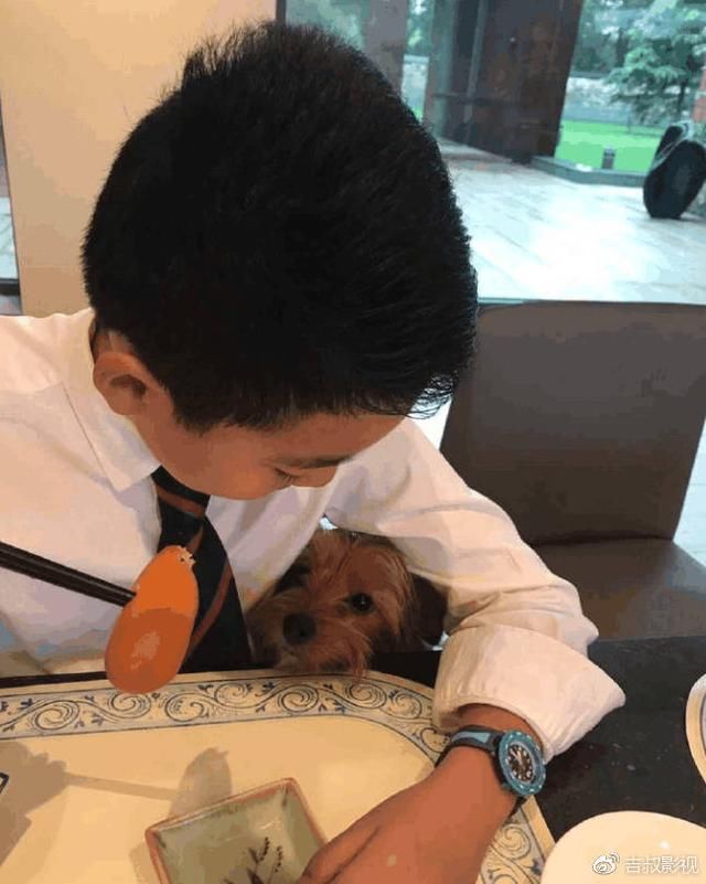 华谊兄弟王中军王中磊为何质押全部身家,真相