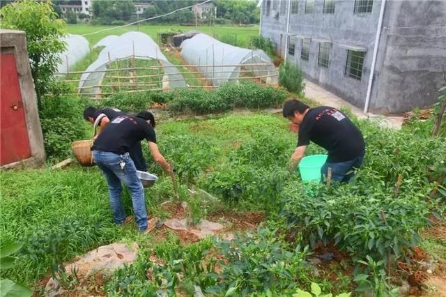 我是如何用互联网思维实现了粉丝流量变现赚钱