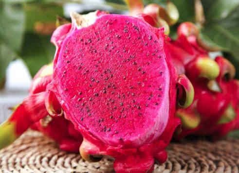 吃完的火龙果皮不要扔,竟有如此喜人的用途,早