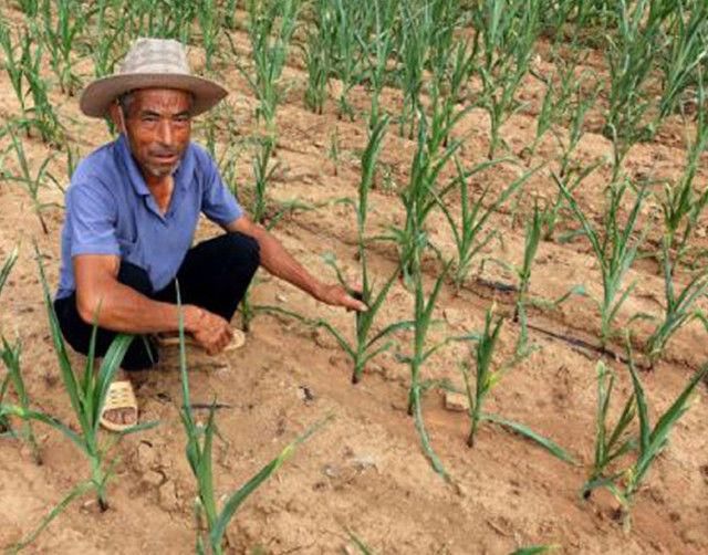 50岁以上的农民工怎么养老?国家来给你补贴,不