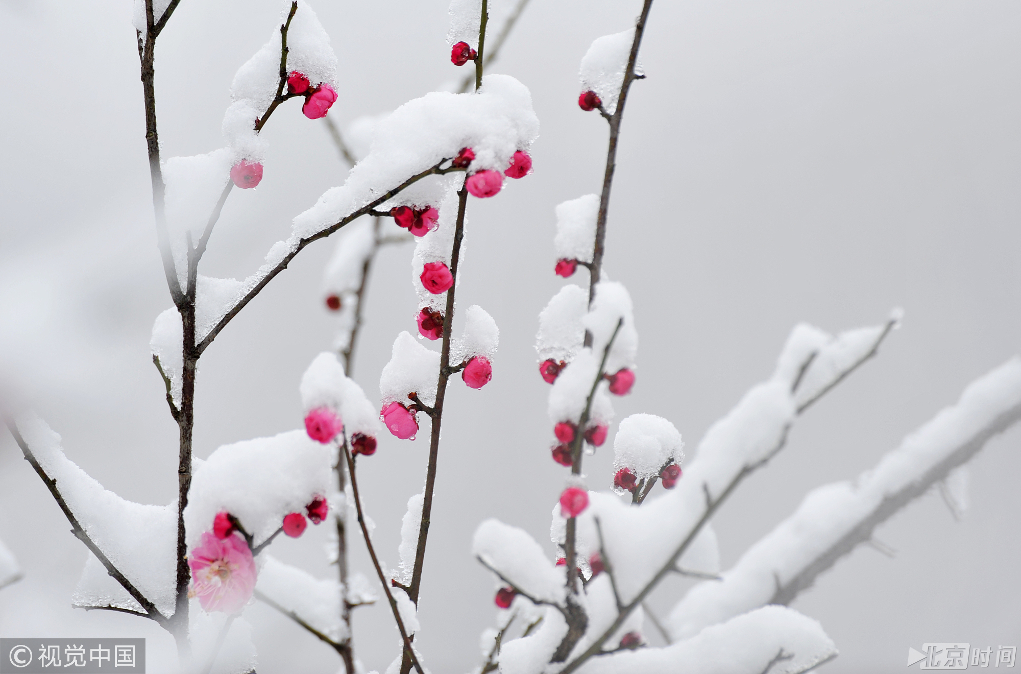 断桥残雪是西湖上著名的景色，位于杭州市西湖风景区宝石山下，北山路附近的西湖中心湖区孤山路上，以冬雪时远观桥面若隐若现于湖面而称著。属于西湖十景之一，是欣赏西湖雪景之佳地。