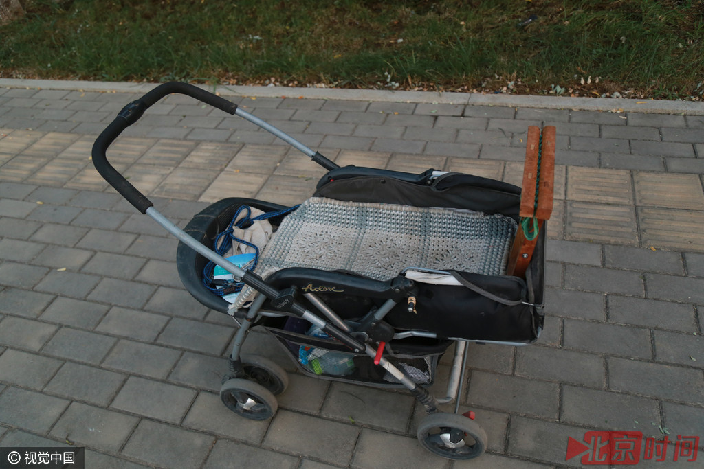 七旬老人推童车遛狗 因狗年龄大了