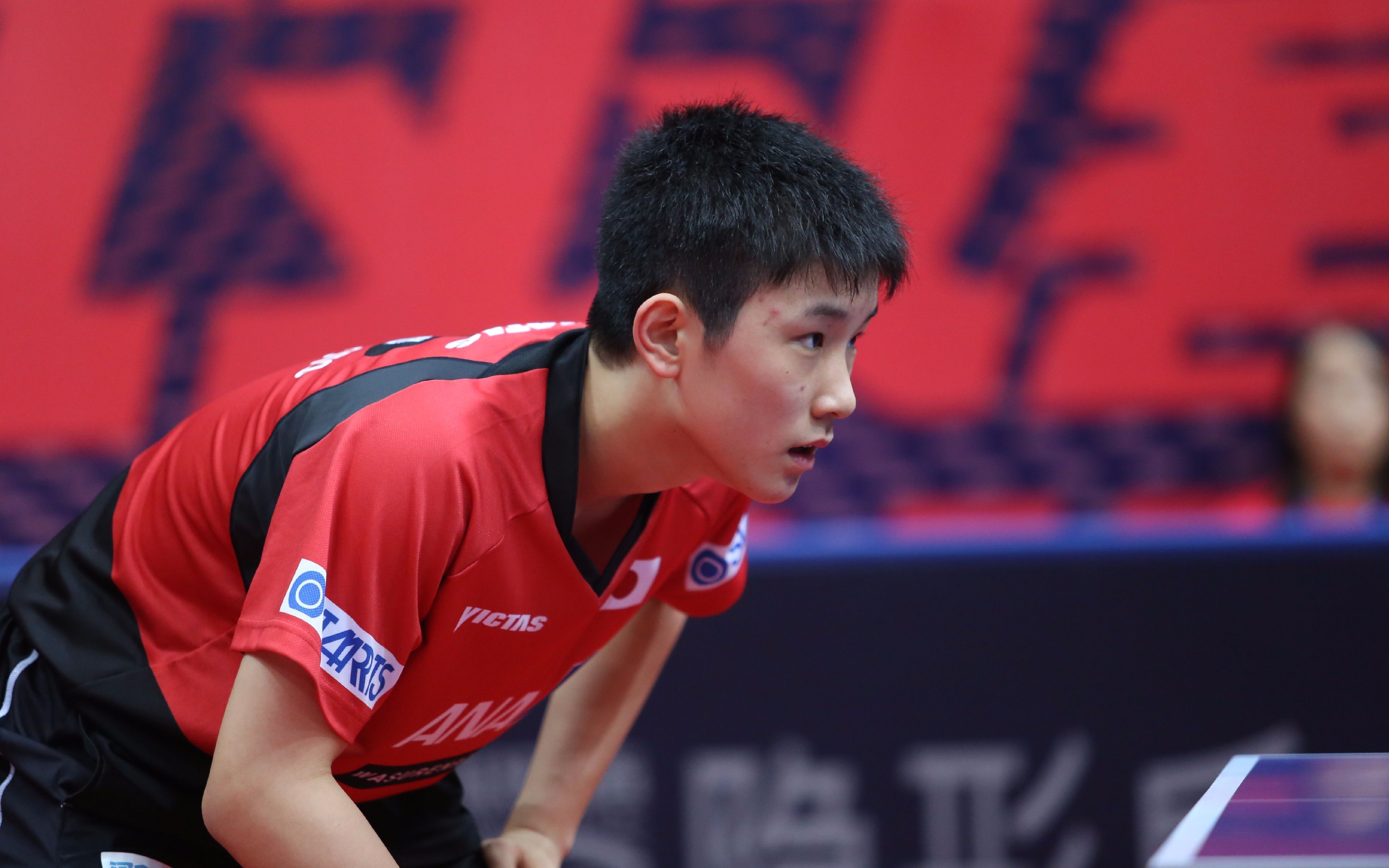 如果张本智和想回中国发展,会招人待见吗?