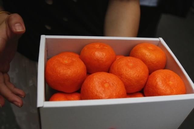 日本人真的吃不起水果吗?看看这些日本水果有