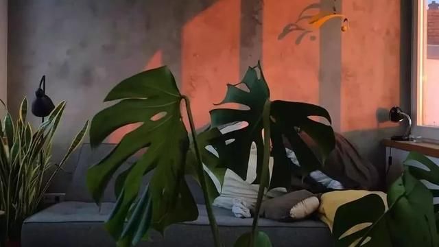 微信和女生聊天她不回信息还要继续追吗?