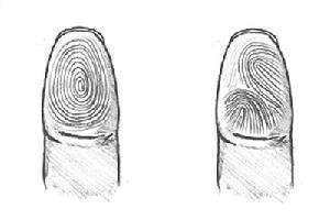 手相看命运:手指纹簸箕纹、斗纹看出你的事业