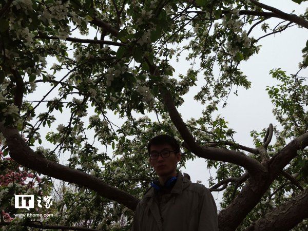 OPPO R15 3-HDR拍照功能专项评测:逆光的美