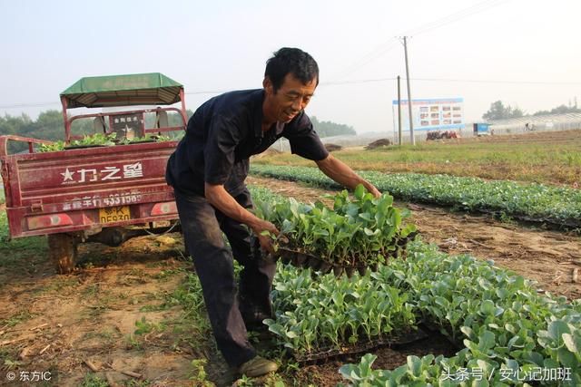 45岁以上的工厂不要,富士康限制35岁,我们的出