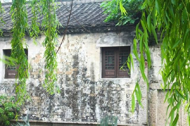 描写杨柳的古诗词,感受柳叶的柔情与千姿百态