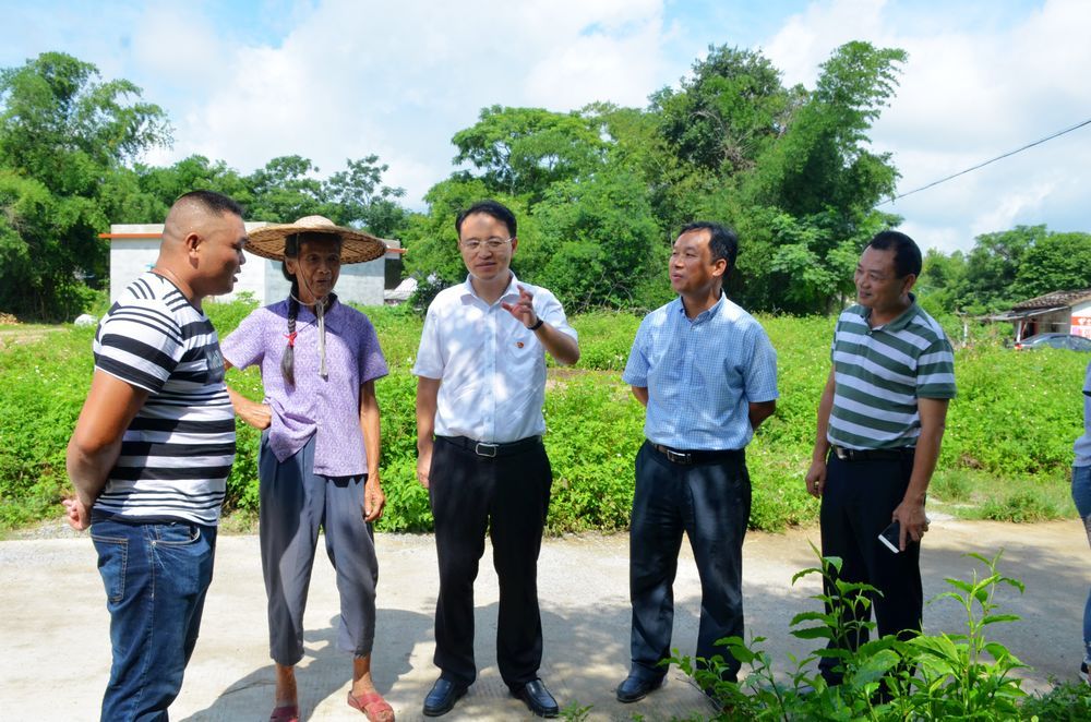 合浦县委书记王方红到沙岗镇,党江镇,星岛湖镇调研指导工作