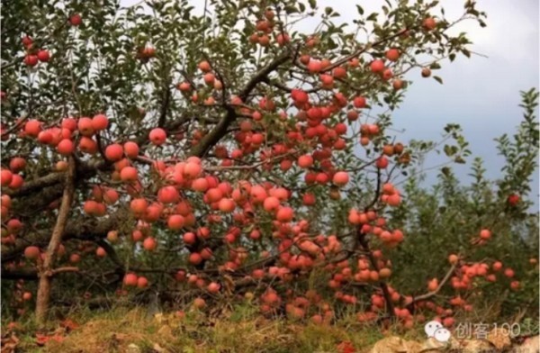 2017适合穷人的最新创业项目,小成本生意回本