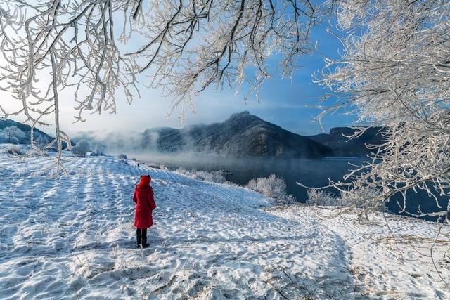 风在松花江上,雪落在地上唱歌,故乡的雪散落一