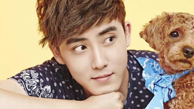 未来十天,4生肖好运难挡,财运亨通,富贵近在咫