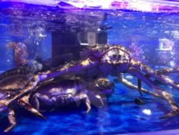 这家网红超市来成都了,我们提前品尝了马云同