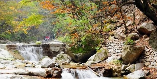 中国最美的十大森林公园 - Zwx8818 - Zwx8818 中国最美的十大森林公园 - Zwx8818 - Zwx8818