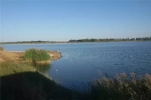 磴口金马湖图片