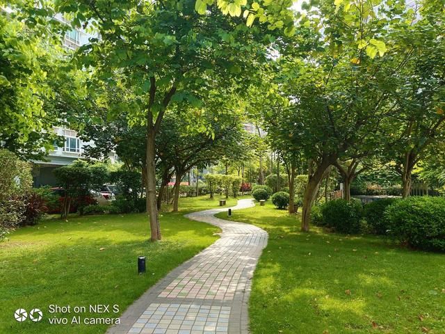 你以为vivo NEX只是骁龙845那么简单?用了才