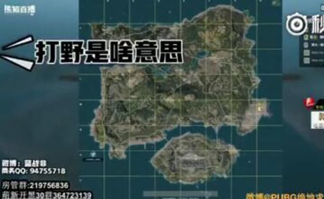 蓝战非带萌新吃鸡 蓝战非带萌新视频受追捧