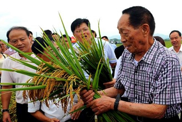 《追梦中国·影响力》第二集：袁隆平 稻田里的“守望者”