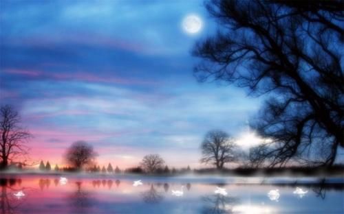 最美古诗词《水调歌头.明月几时有》赏析