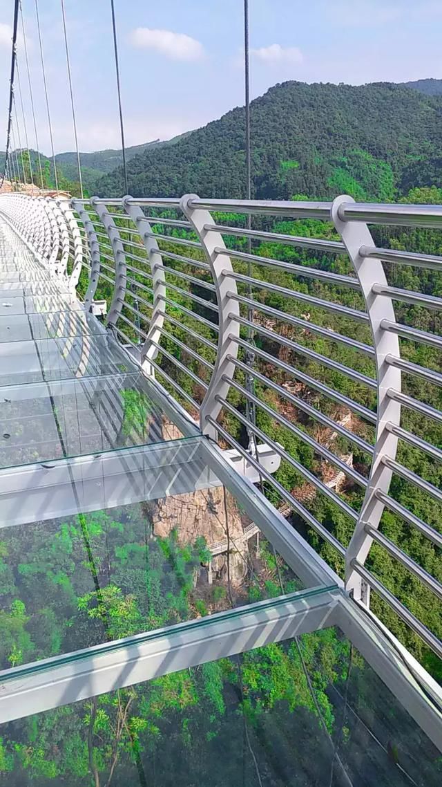 肇庆首座玻璃桥横空出世,玩的就是心跳!