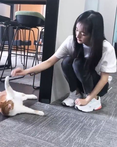 范冰冰案件拯救了高云翔,高云翔案拯救了杨幂