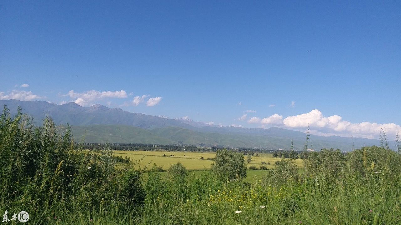 早安开学第一课,致家长 、老师和孩子们共勉!