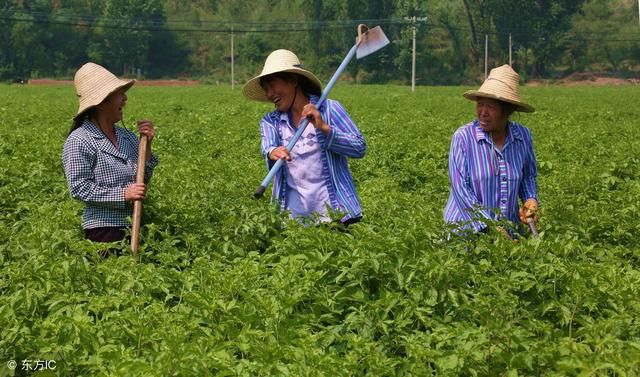 你们村里的确股不确地!这些情况赶紧举报吧