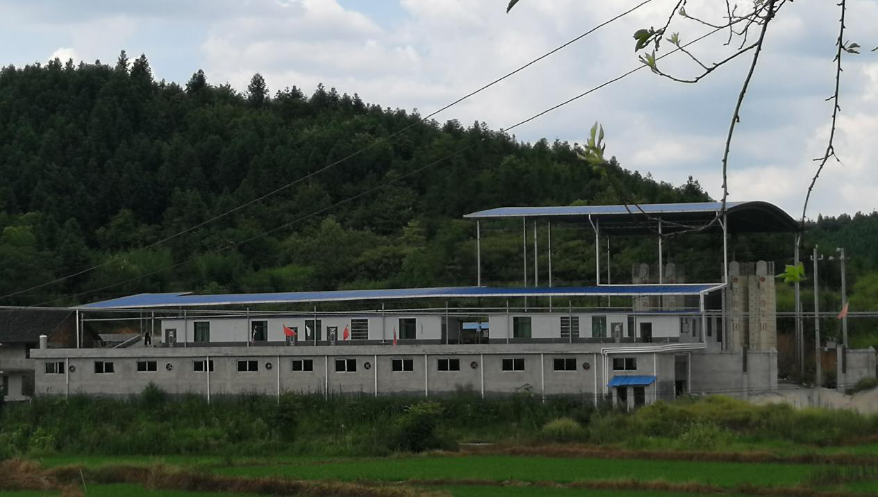 我们的未来在希望的田野上--永兴县金龟镇产业