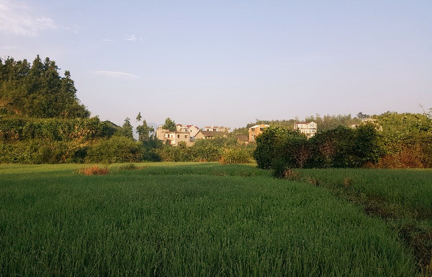 【改革·印记——看中国发展】中国农村的沧桑巨变:从“要我去”到“我要去” 【改革·印记——看中国发展】中国农村的沧桑巨变:从“要我去”到“我要去”