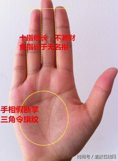 “领导命”的手相,不是企业老板,就是官场领导,早晚富贵无边! “领导命”的手相,不是企业老板,就是官场领导,早晚富贵无边!