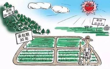 《农村土地承包法》大改,咱农民还能分地了吗