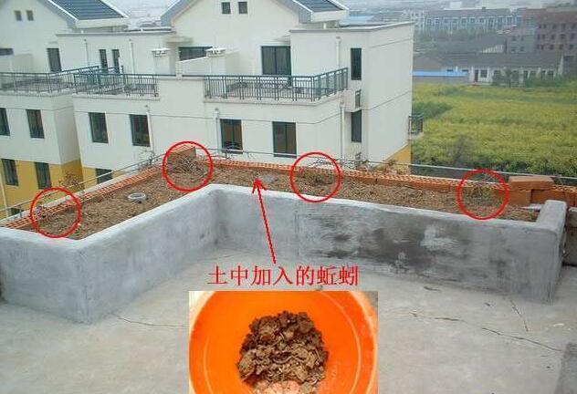 自己在楼顶上砌了个花坛,成本不到80块,邻居都说好看!