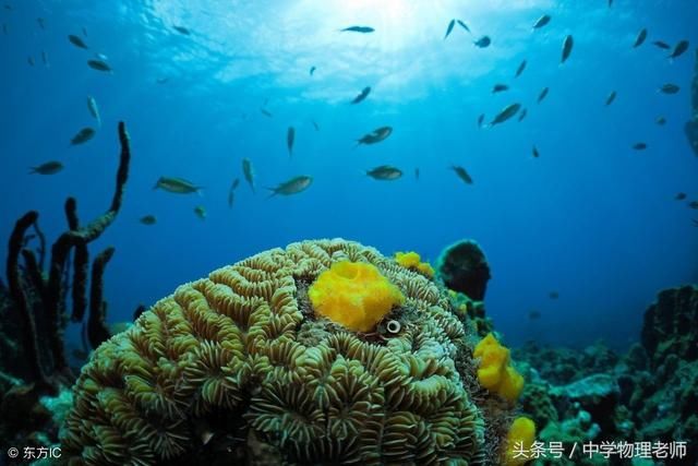 高中生如何学好理综?物化生老师有话说!过个充