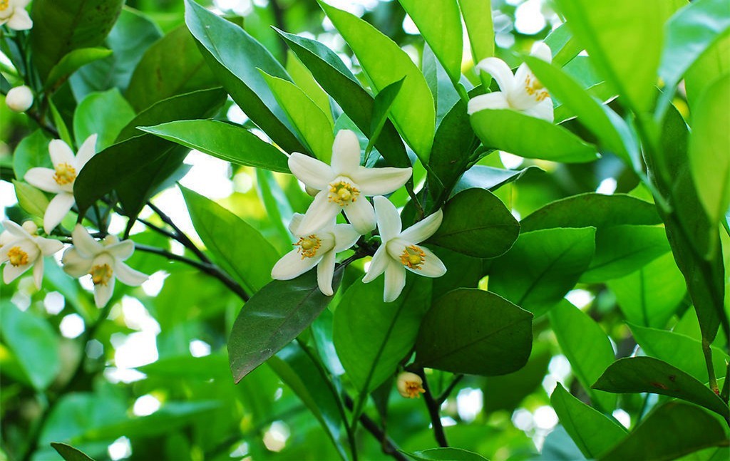 事业单位考试公共基础知识:三大诉讼法审理期限