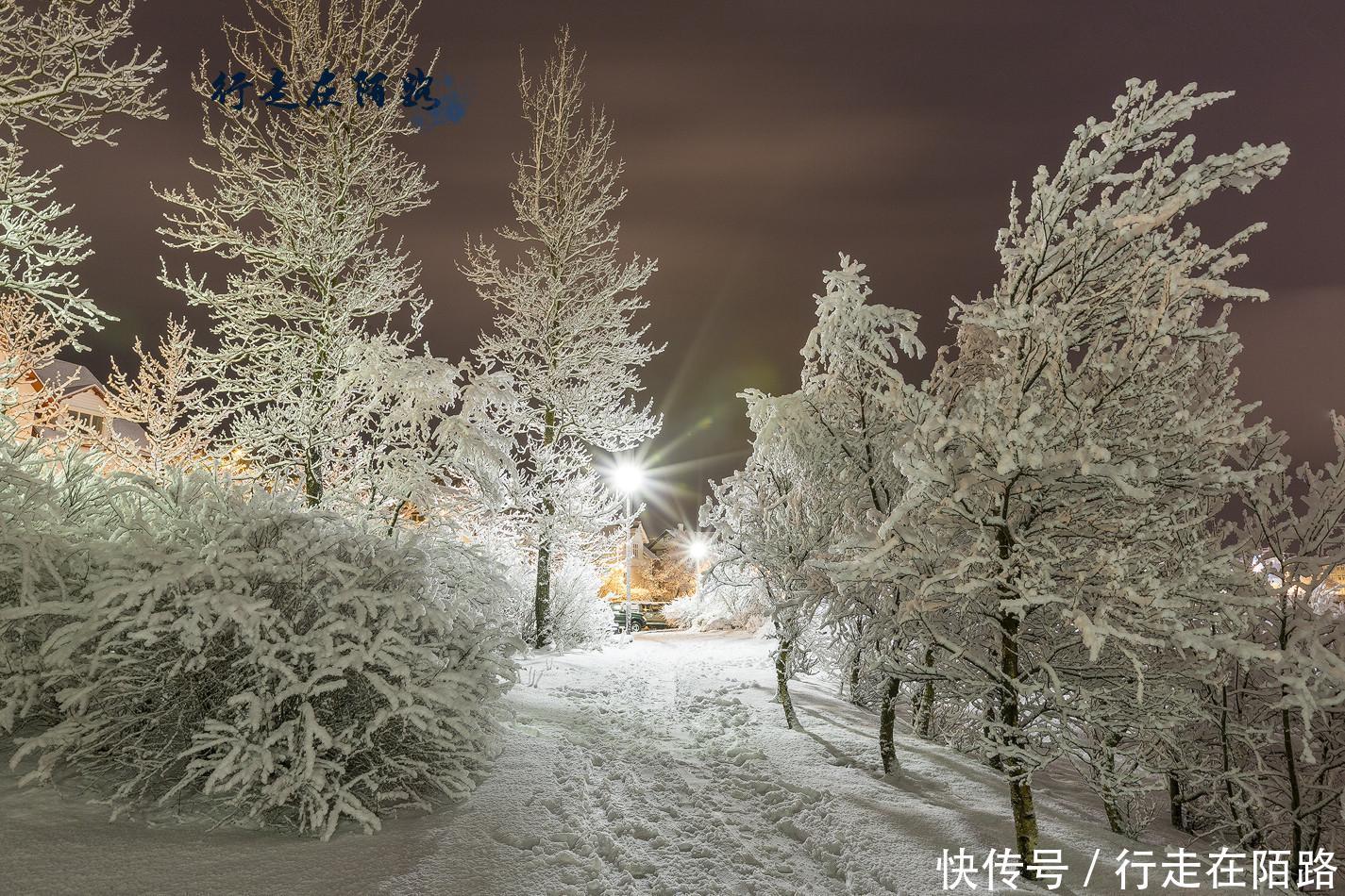 欧洲人口密度最低的国家:人均年收入43万,却无