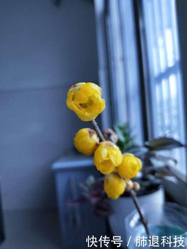 老白说彩之时时彩跟连不跟跳, 以不变应万变