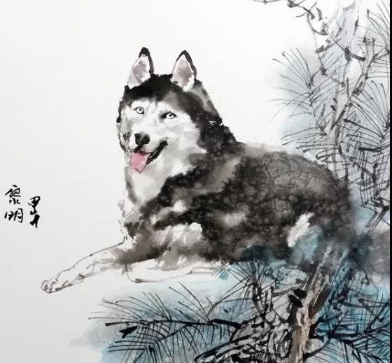 2019年,不同年份出生的生肖狗运程解读