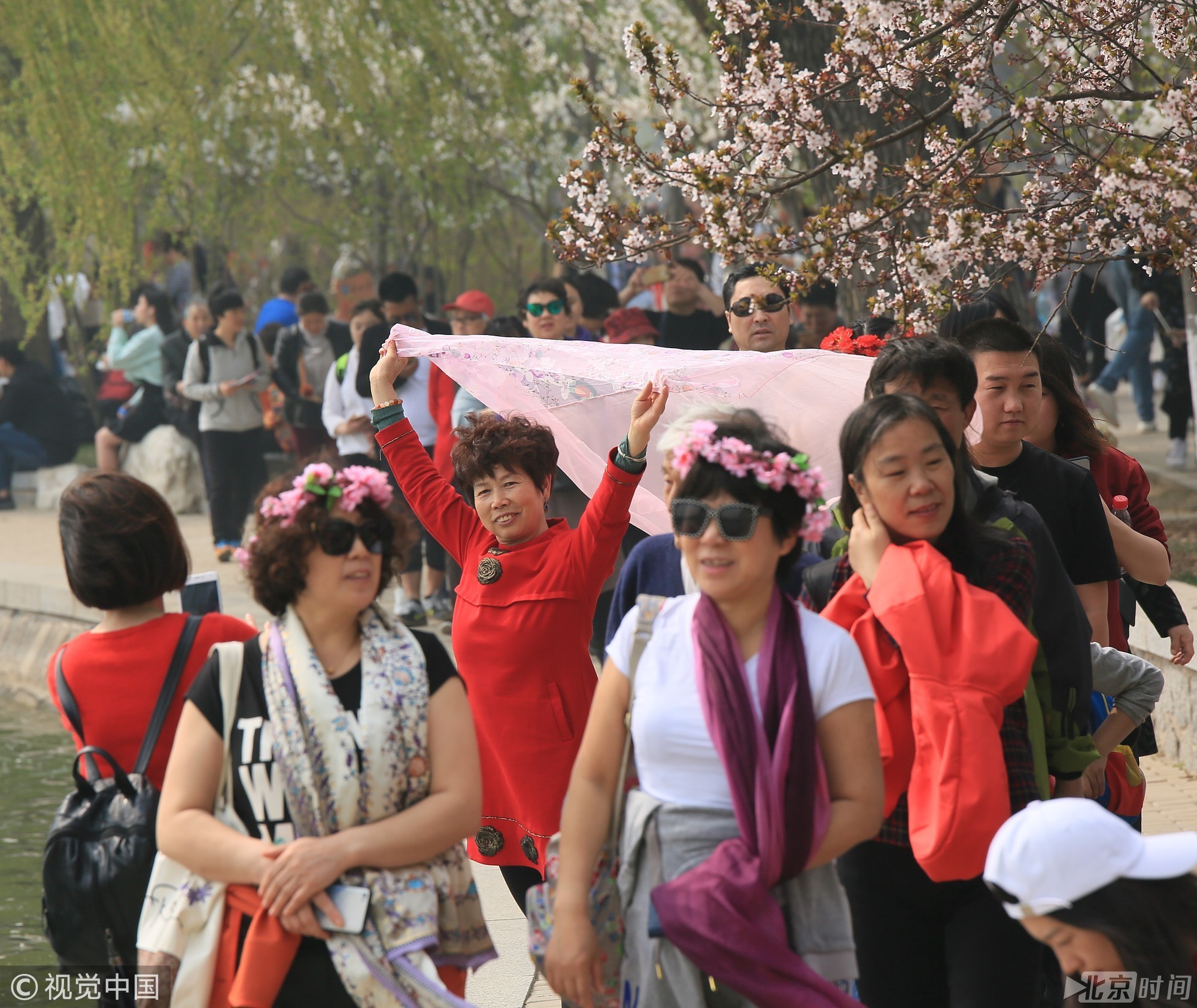 北京玉渊潭不只有樱花 还有大妈和她们的丝巾
