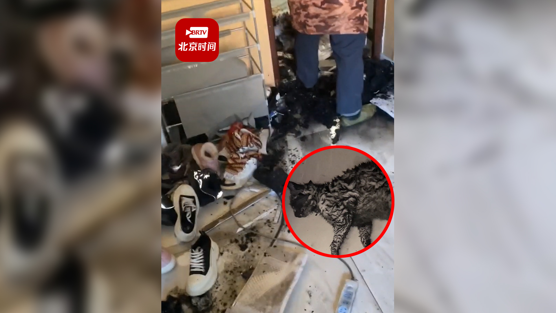 情侣出门没关电暖风引发火灾：损失了七八万，猫咪也烧死了