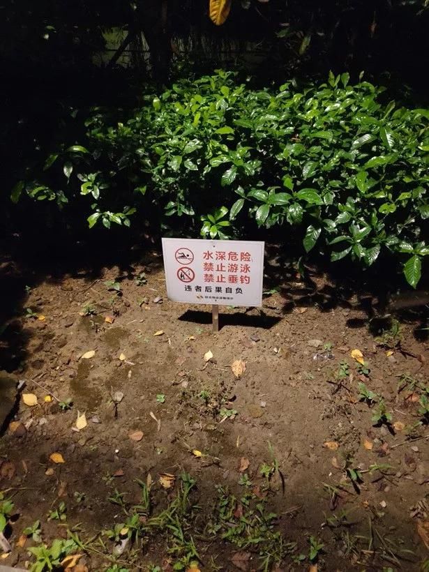 坚果PRO2S 相机样张实拍对比小米8SE、坚果PRO2