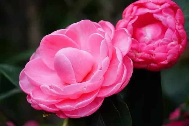 E-mount入门旅游镜首选!索尼E 18-135mm F3