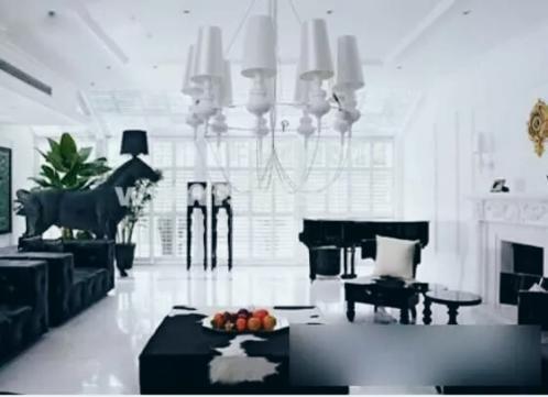 的豪宅, 王思聪家没有想象中富丽堂皇, 最想住鹿