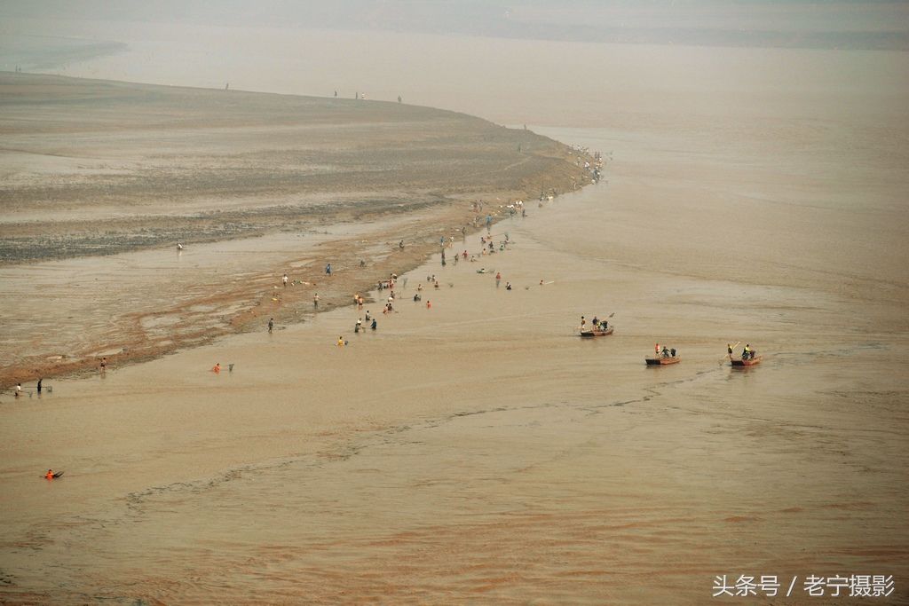 黄河有鱼天上来,两岸百姓捞鱼忙,今年大河流鱼